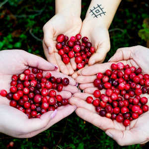 Cranberry - Vorteile und Eigenschaften